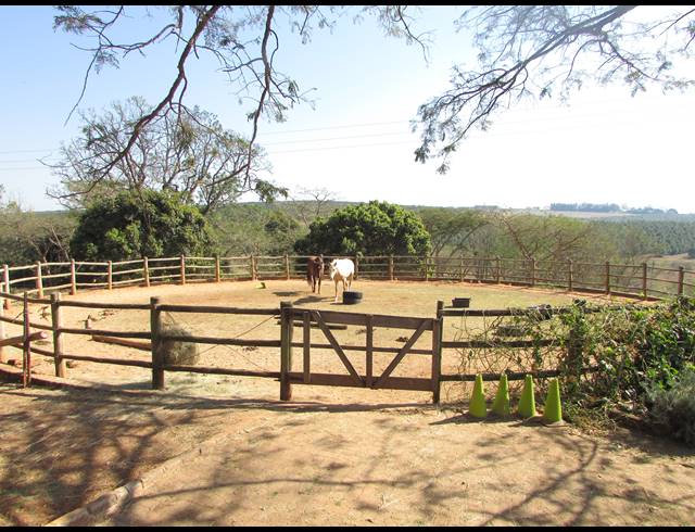 6HA SMALLHOLDING FOR SALE IN WHITE RIVER ESTATES